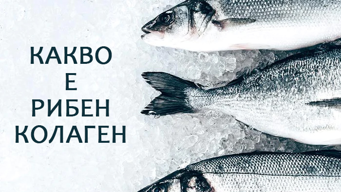 рибен колаген